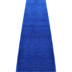 royal blue carpet and silver stanchions