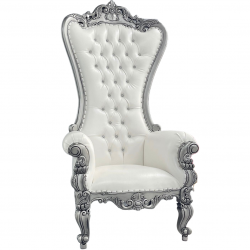 Silver and white throne chair