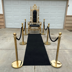 Untitled20design20 202023 06 21T154803.498 1687387772 Black carpet and gold stanchions