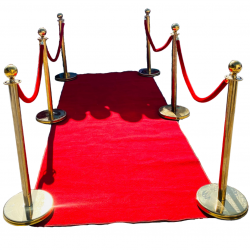 Red carpet and gold  stanchions