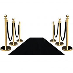 Black carpet and gold stanchions