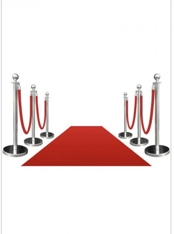 red carpet and silver stanchions