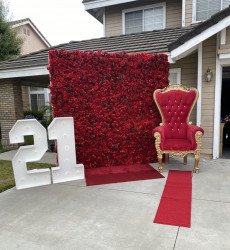 3D Red flower backdrop