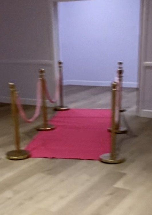 pink carpet with gold stanchions