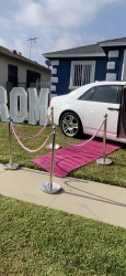 pink carpet with silver stanchions