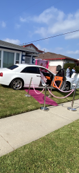 IMG 6610 1715798168 pink carpet with silver stanchions